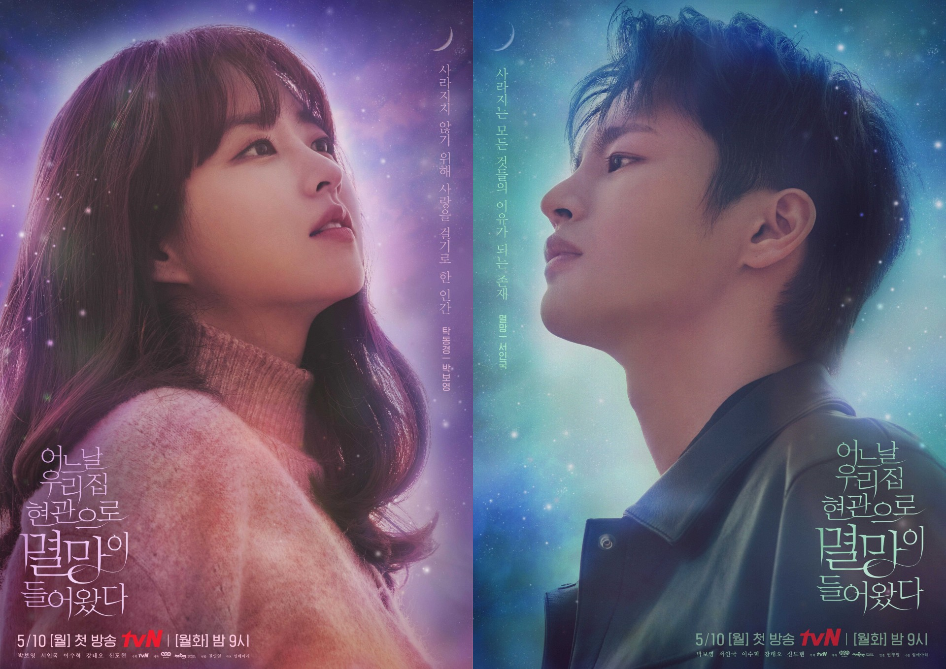韓国ドラマ「ある日、私の家の玄関に滅亡が入ってきた」の作品情報 